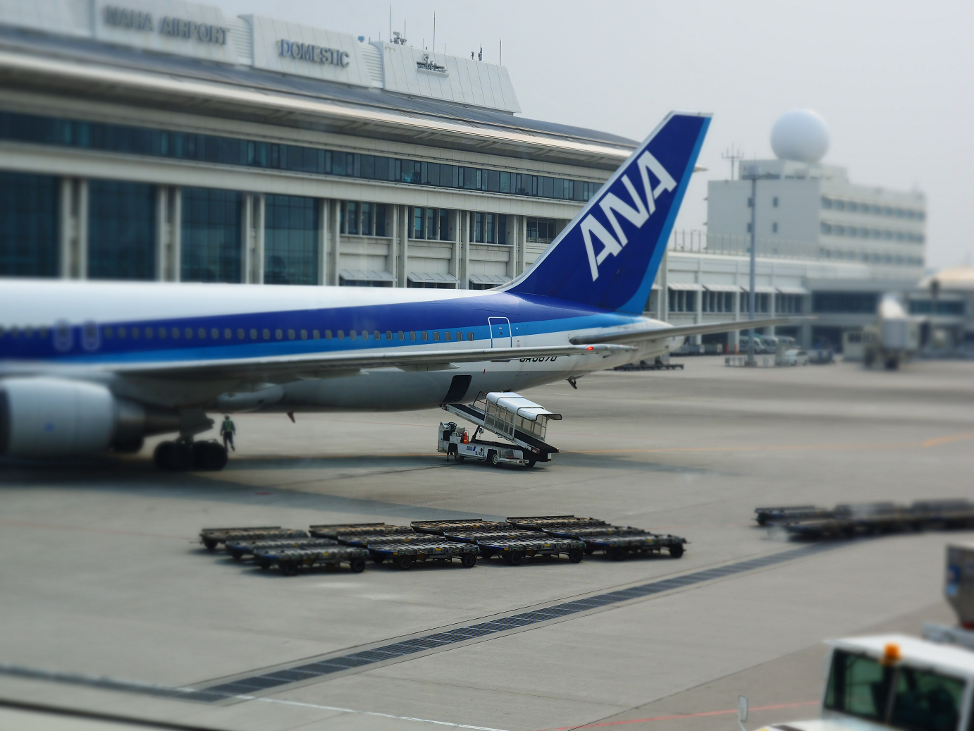 P1222372.jpg