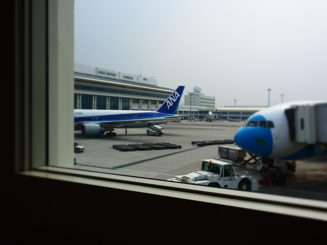 P1222375.jpg