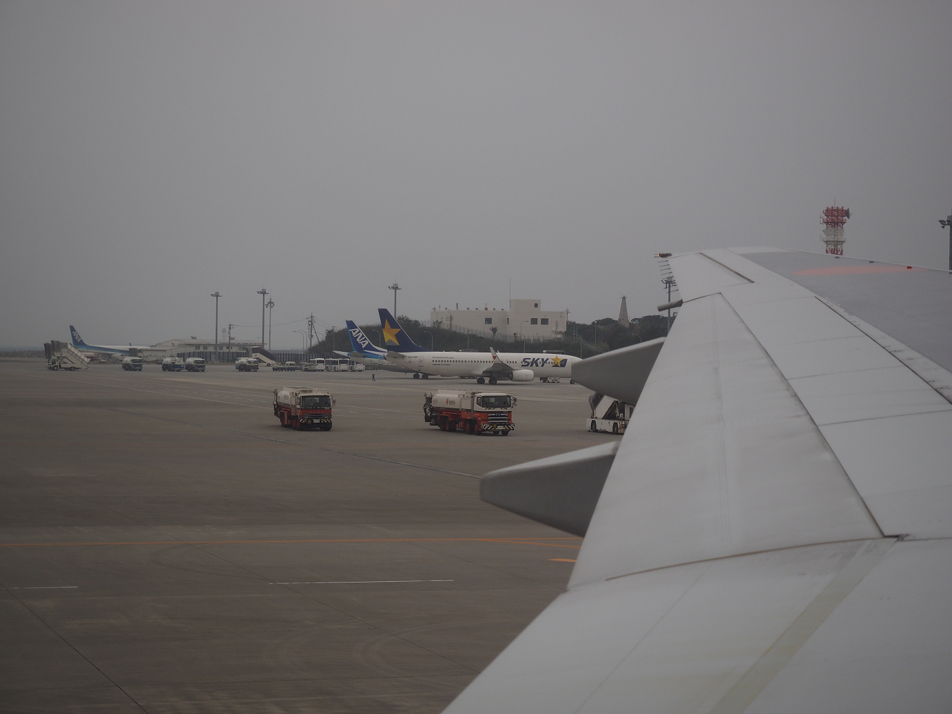 P1222390.jpg