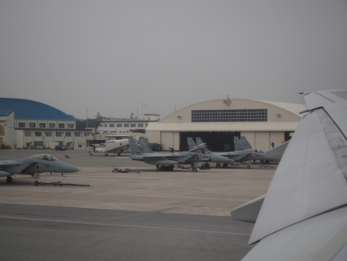 P1222419.jpg