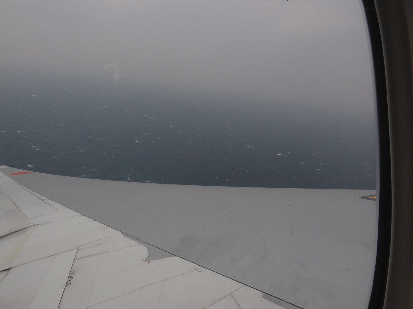 P1222443.jpg