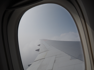 P1222452_thumb.png