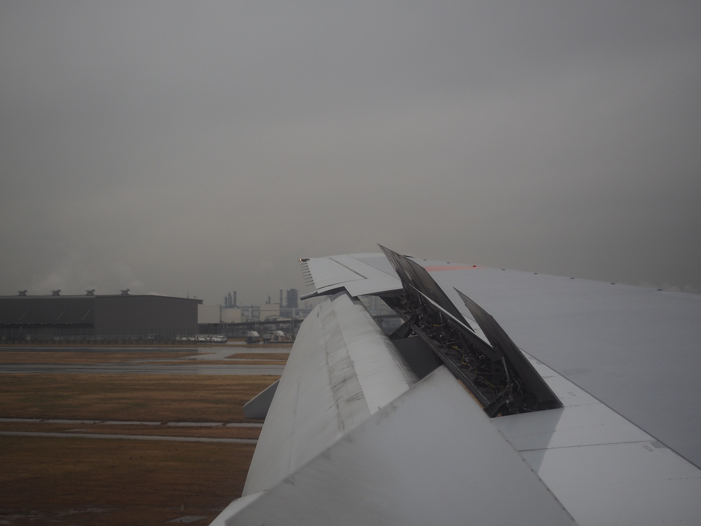 P1222516.jpg