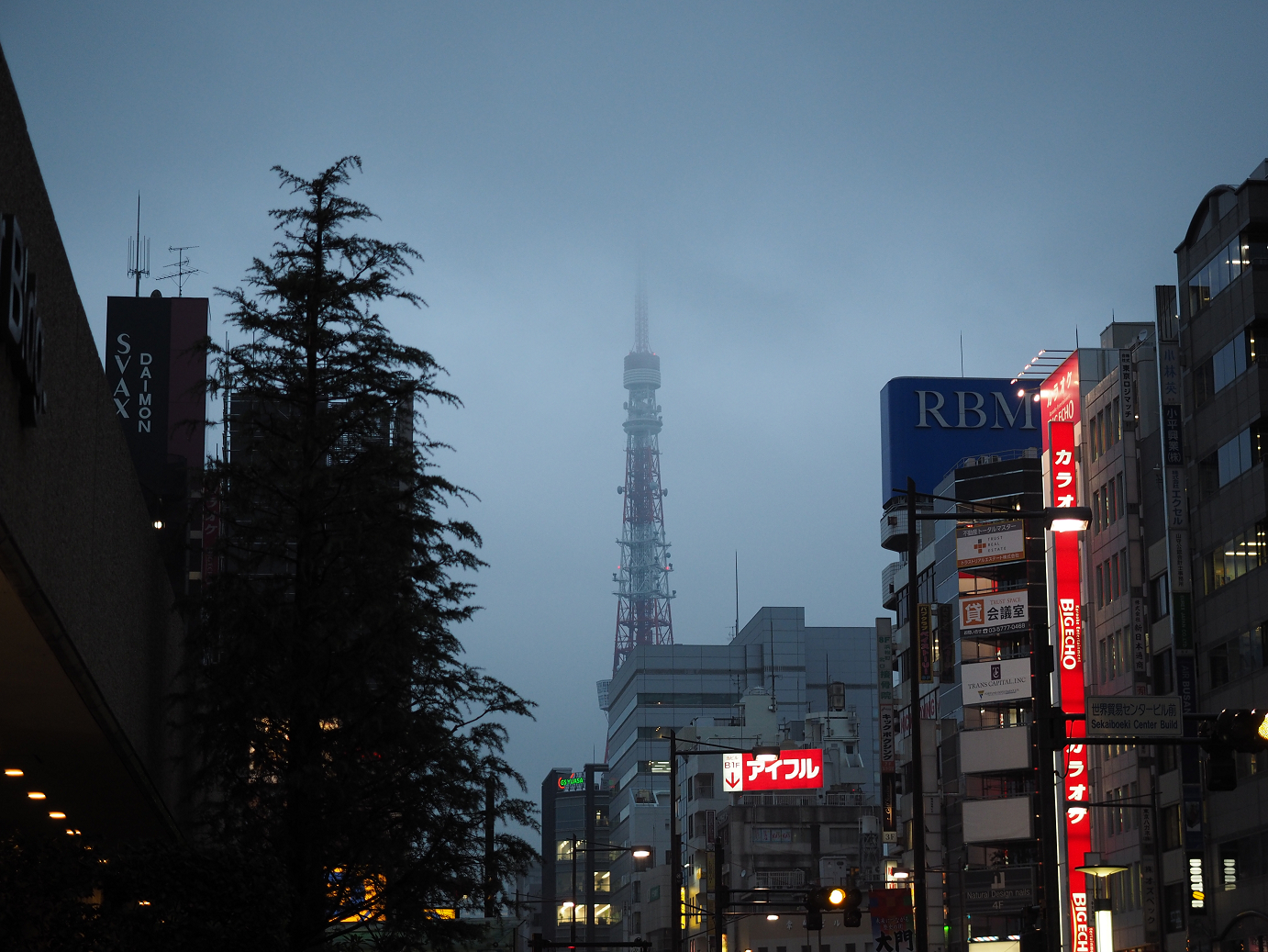 P1222551.jpg