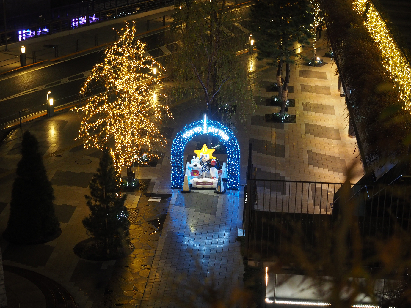 P1222579.jpg