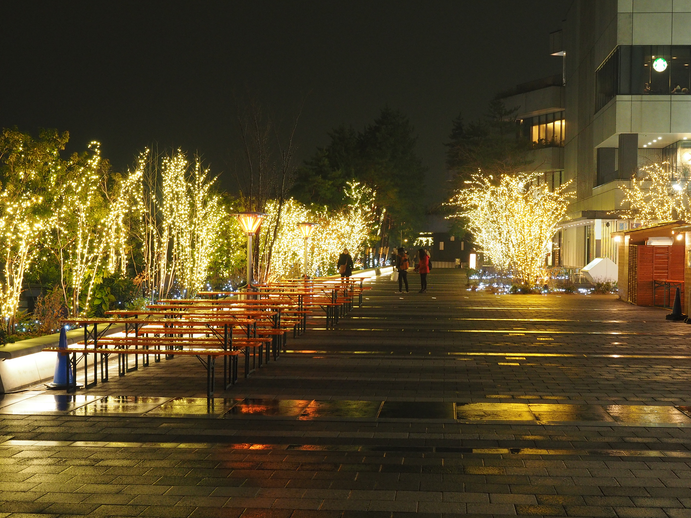 P1222587.jpg