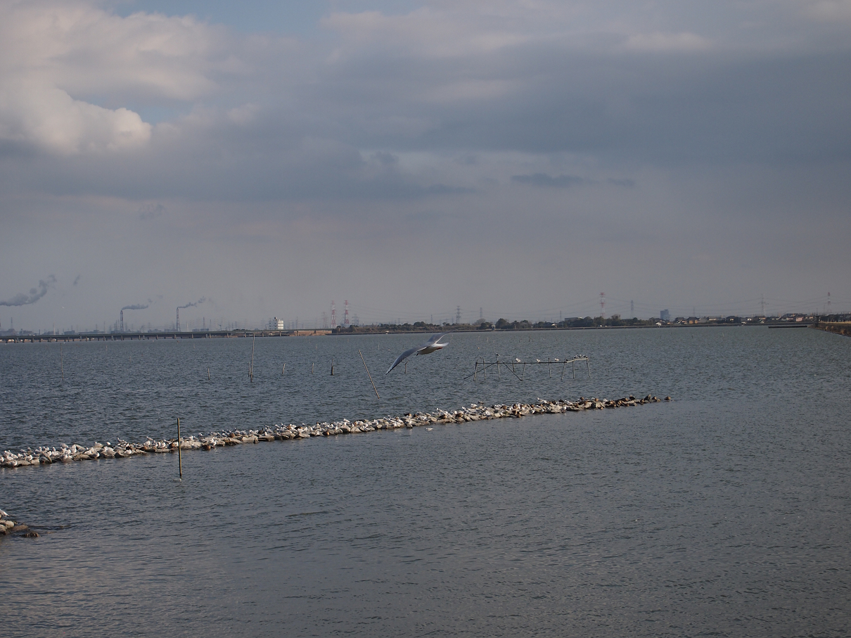 P2203651.jpg