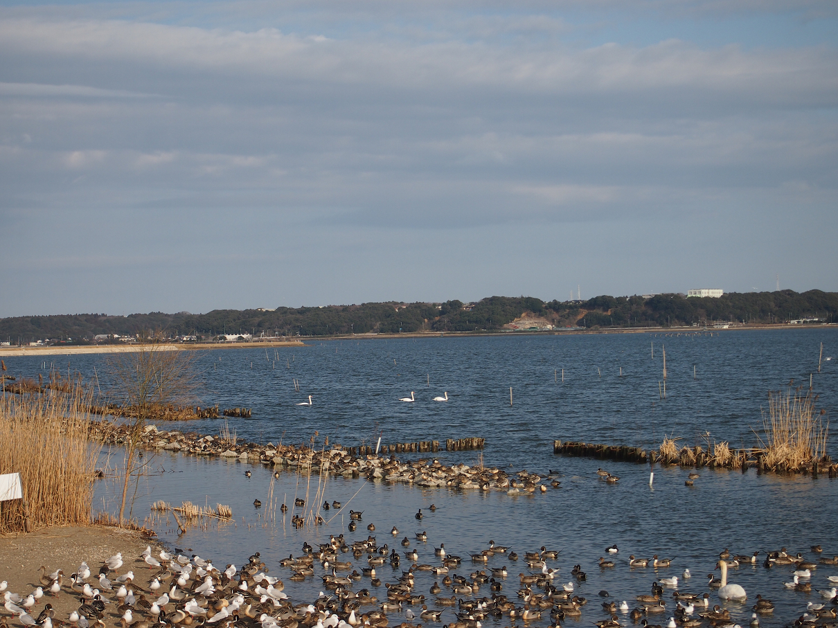P2203662.jpg