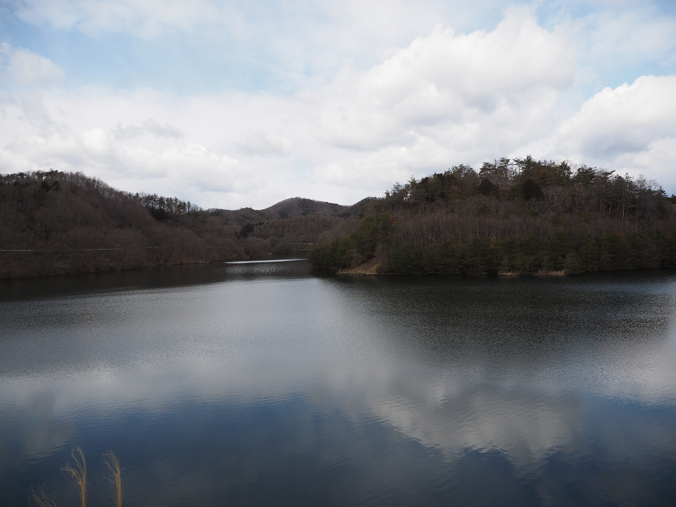 P2202687.jpg