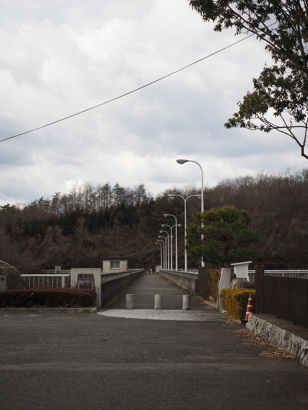P2202698.jpg