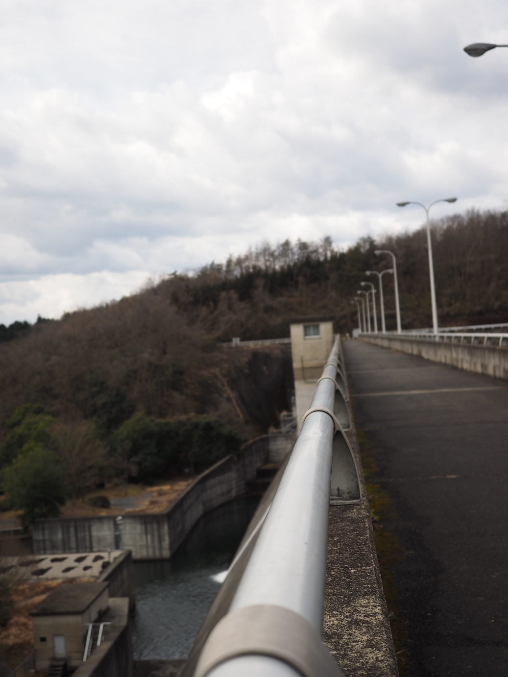 P2202701.jpg
