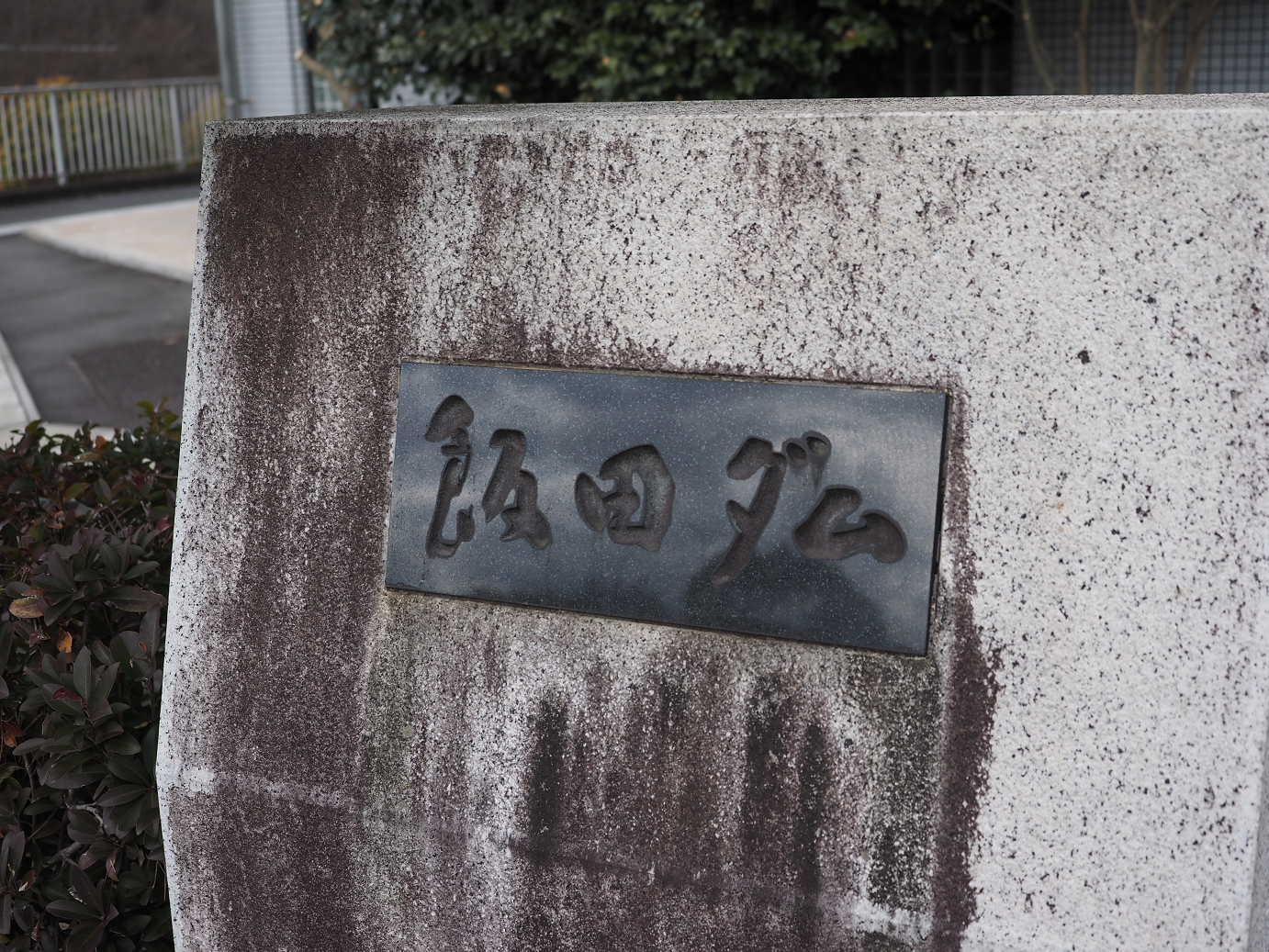 P2202702.jpg