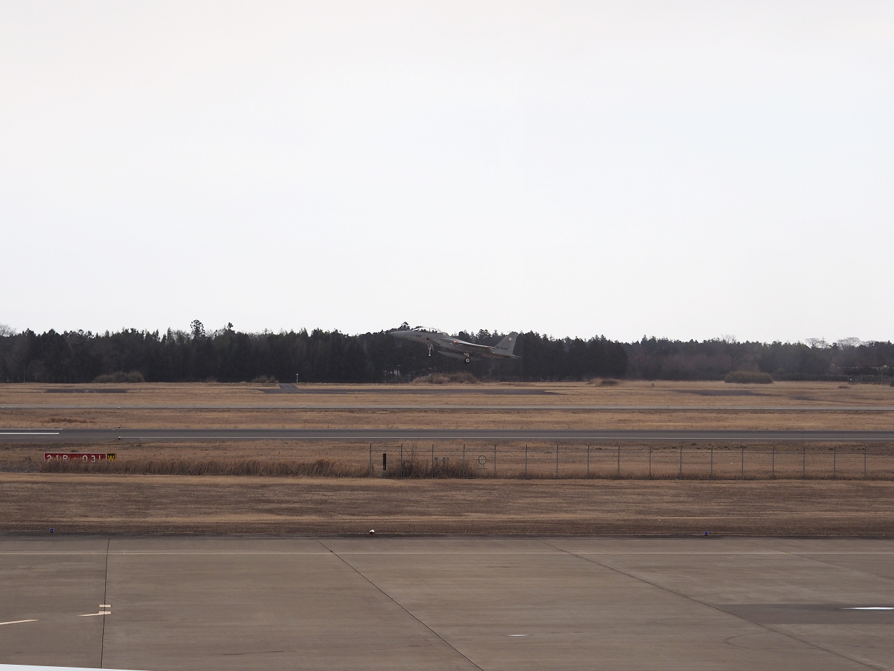P2202750.jpg
