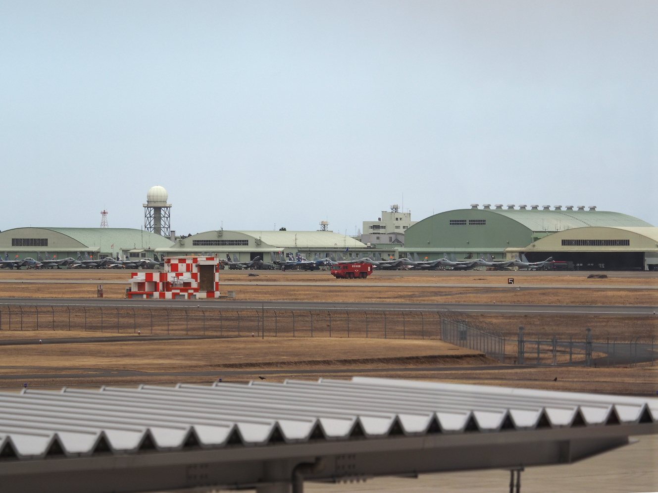 P2203494.jpg