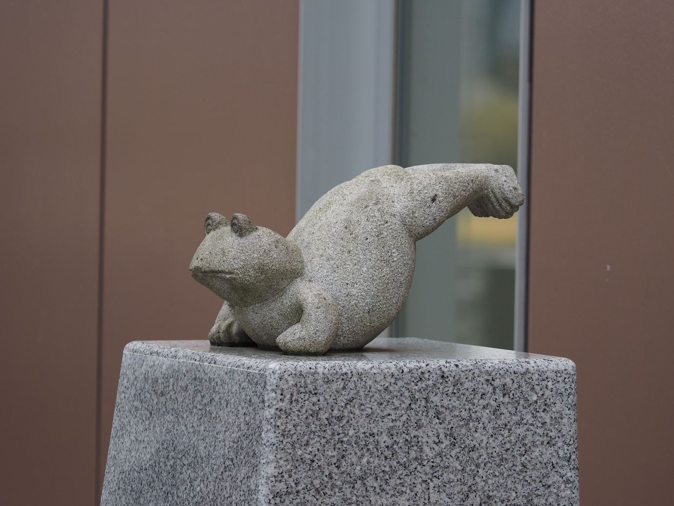 P2203604.jpg