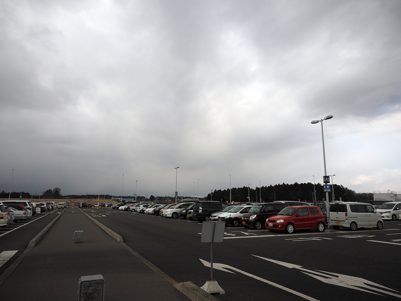 P2203612.jpg