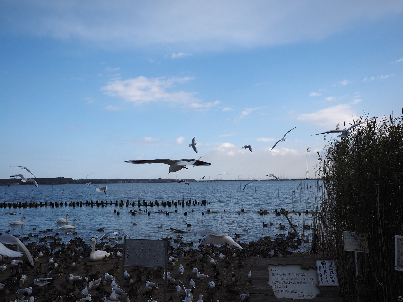 P2203646.jpg