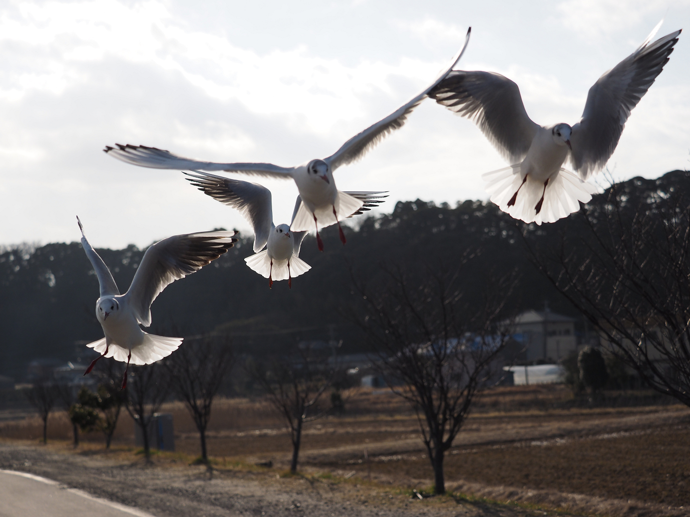 P2203800.jpg