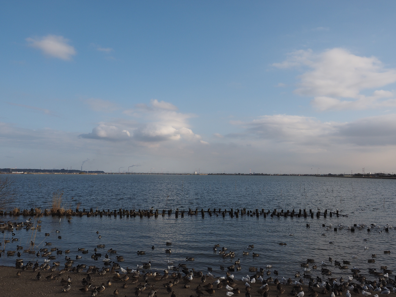 P2203894.jpg