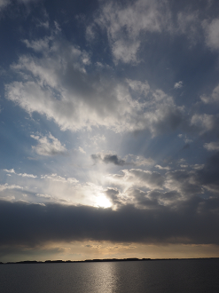 P2203915_thumb.png