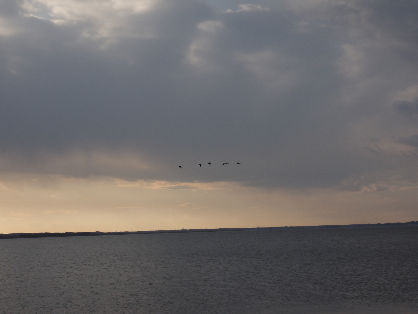 P2203917.jpg