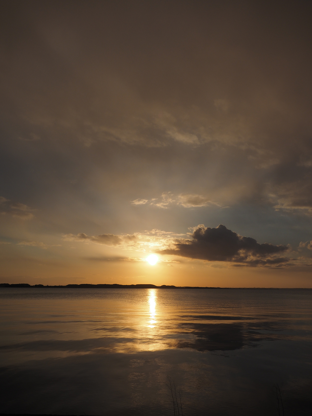 P2203942.jpg