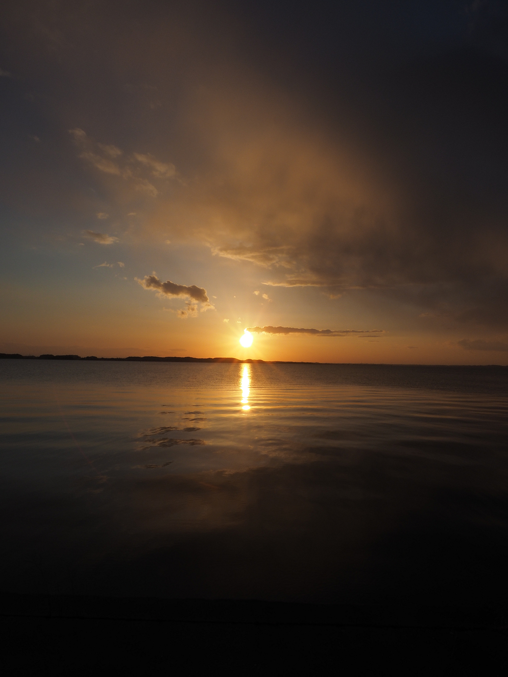 P2203973.jpg