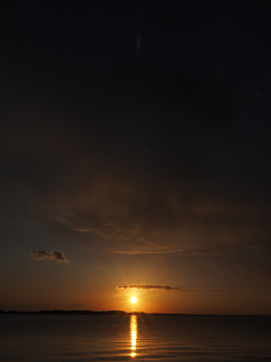 P2203980_thumb.png