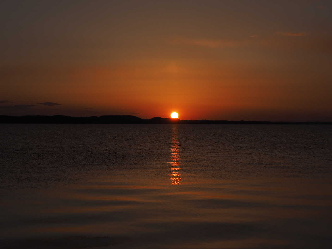 P2204042.jpg