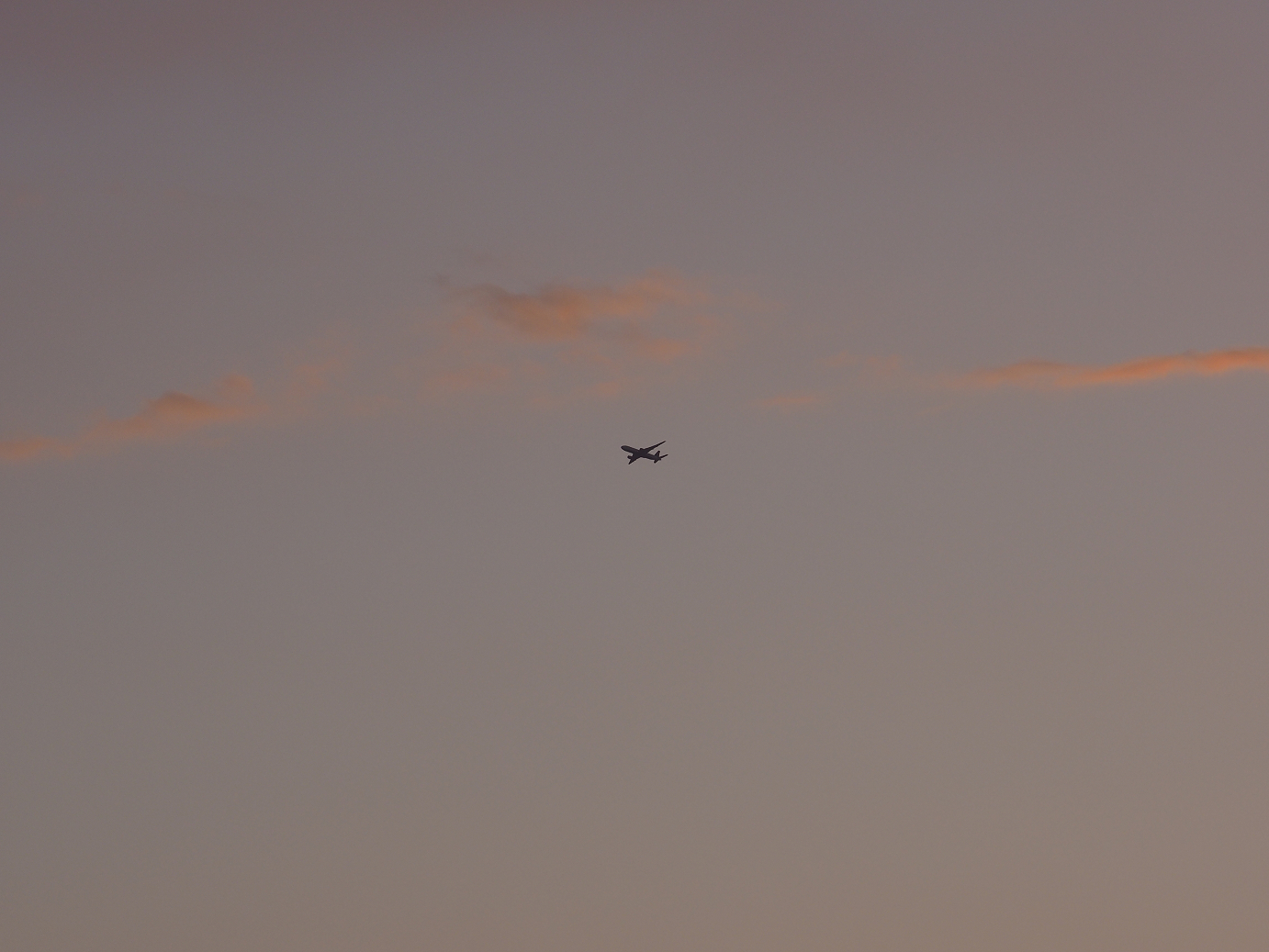 P2204067.jpg