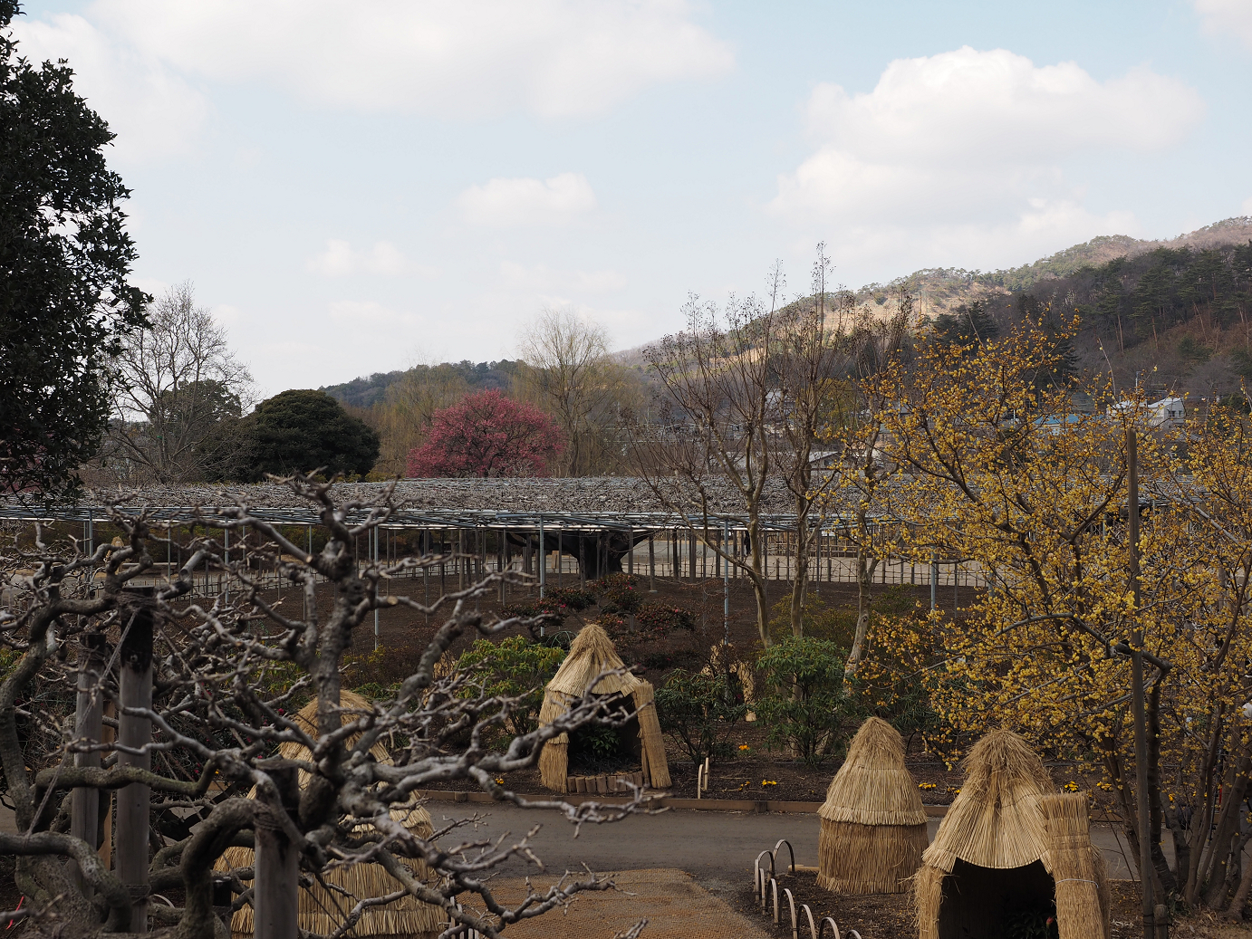 P2214187.jpg