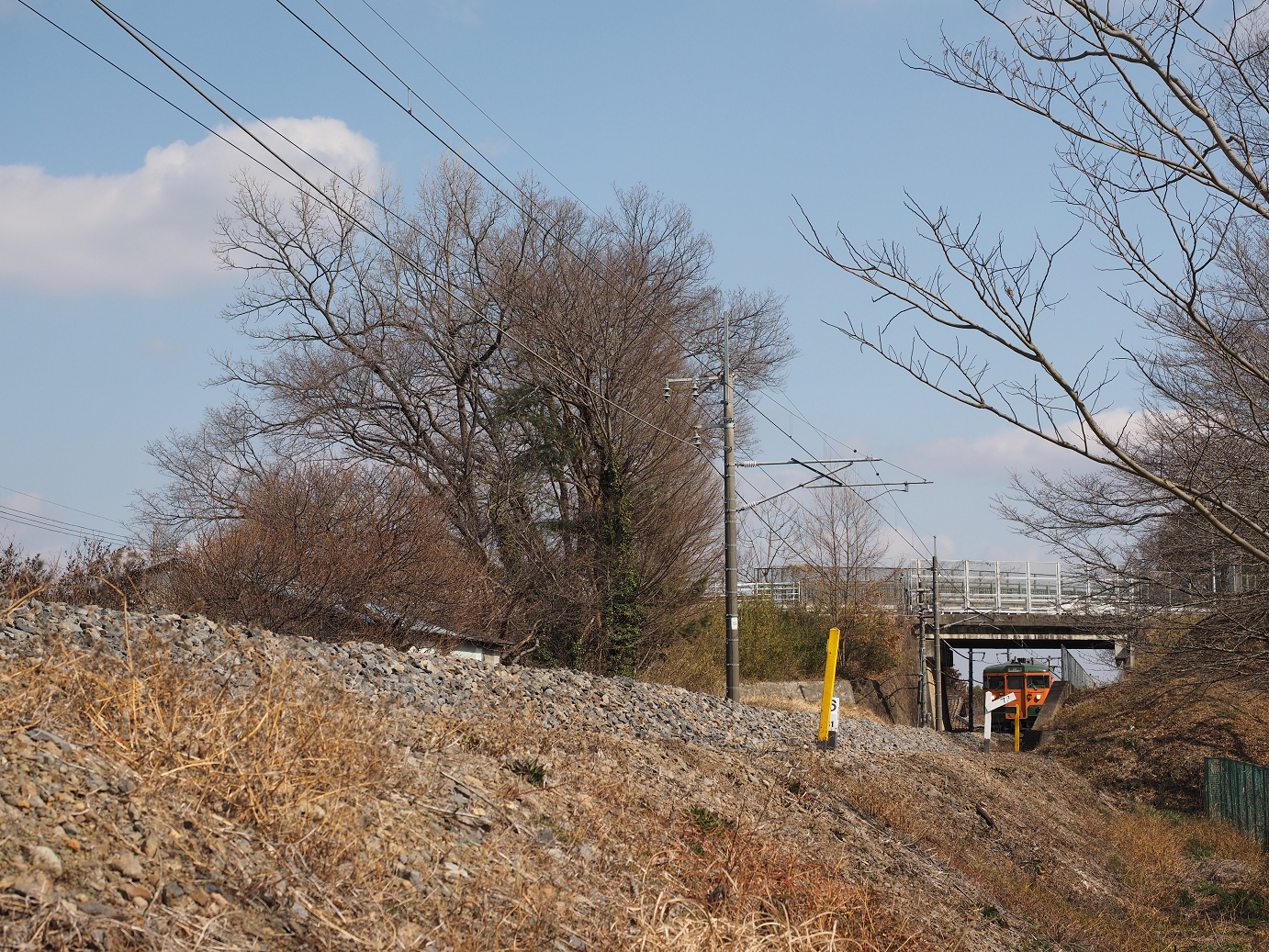 P2214315.jpg