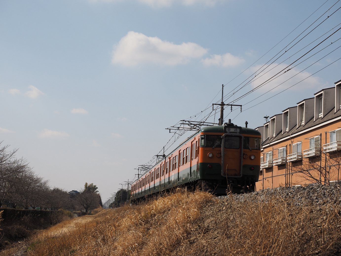 P2214338.jpg