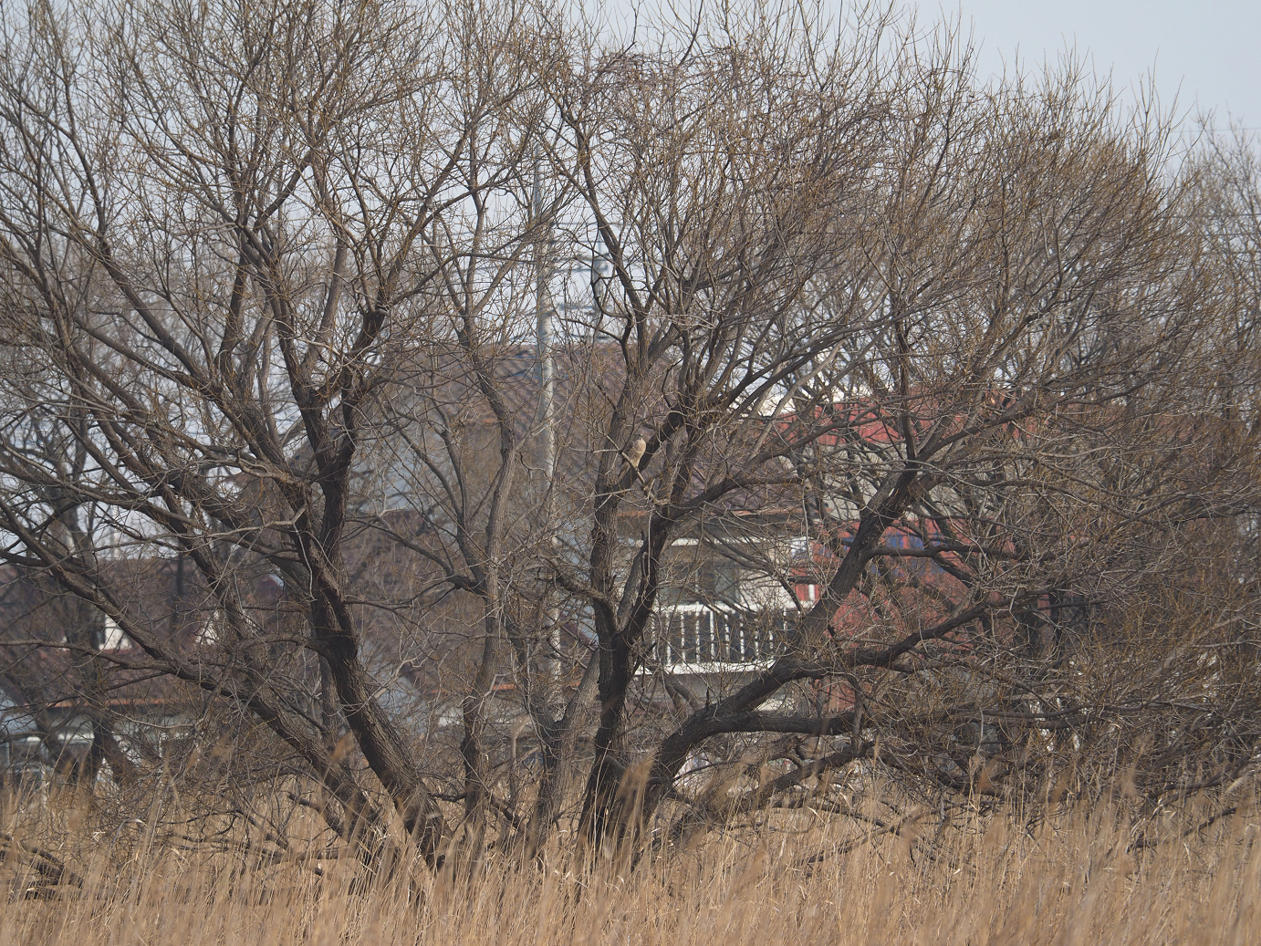P2234476.jpg
