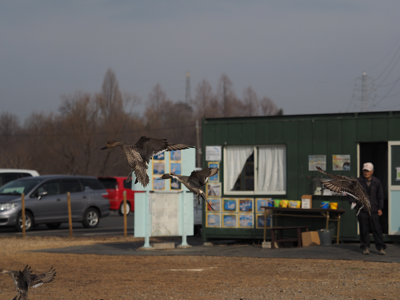P2234513.jpg