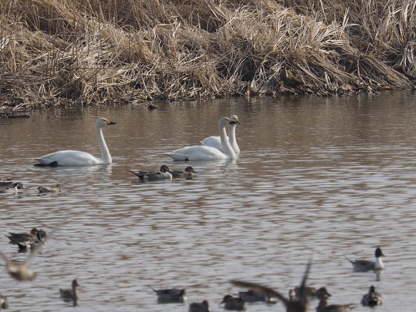 P2234573.jpg