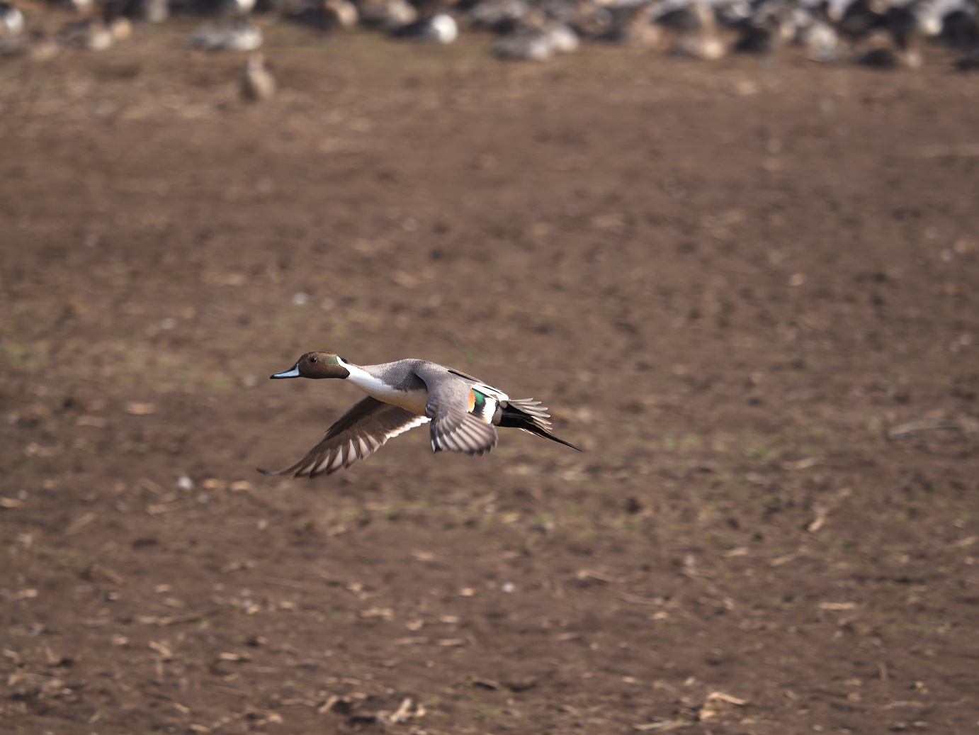 P2234642.jpg