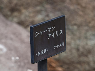 P3144852_thumb.png