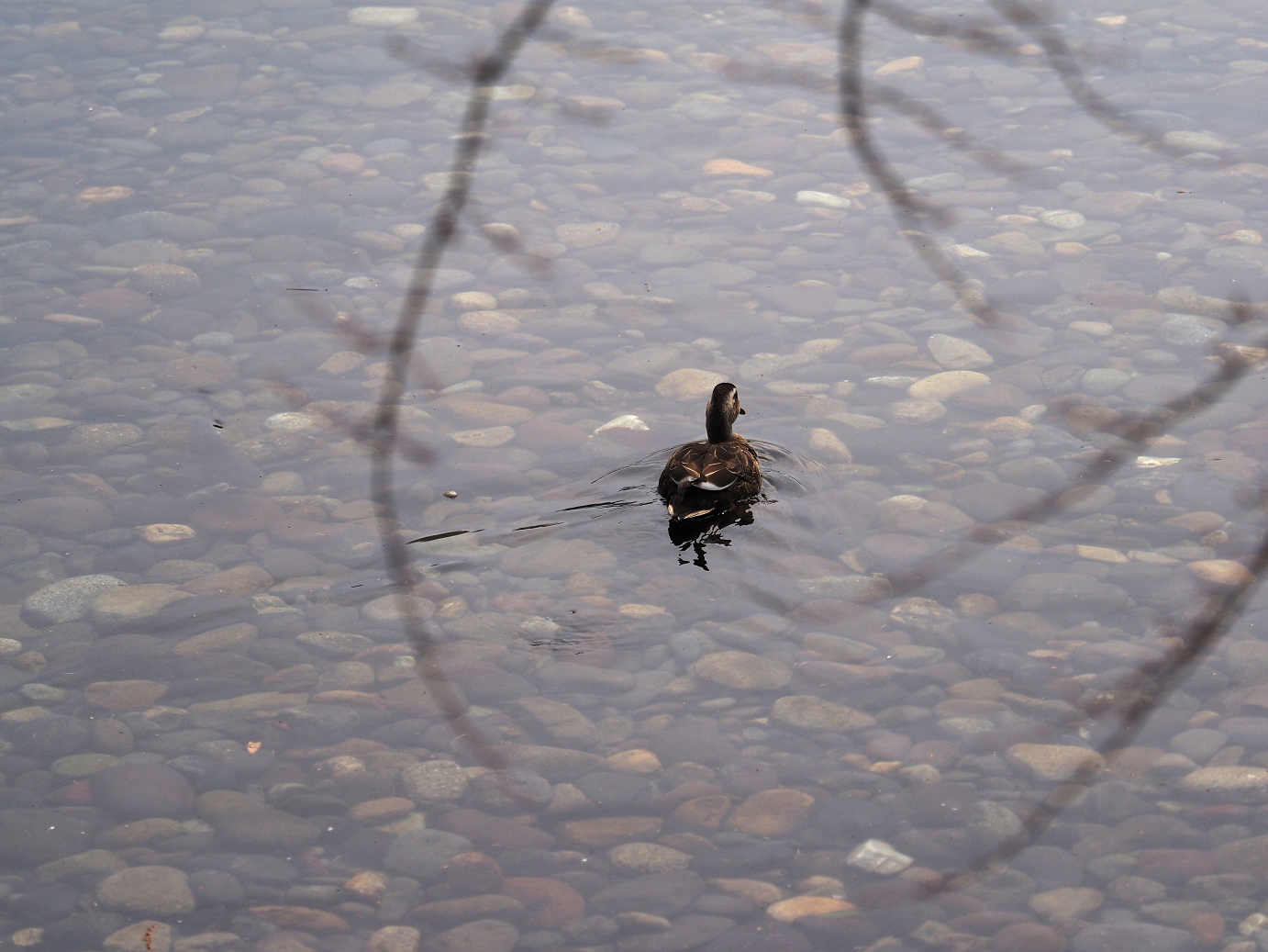P3144854.jpg
