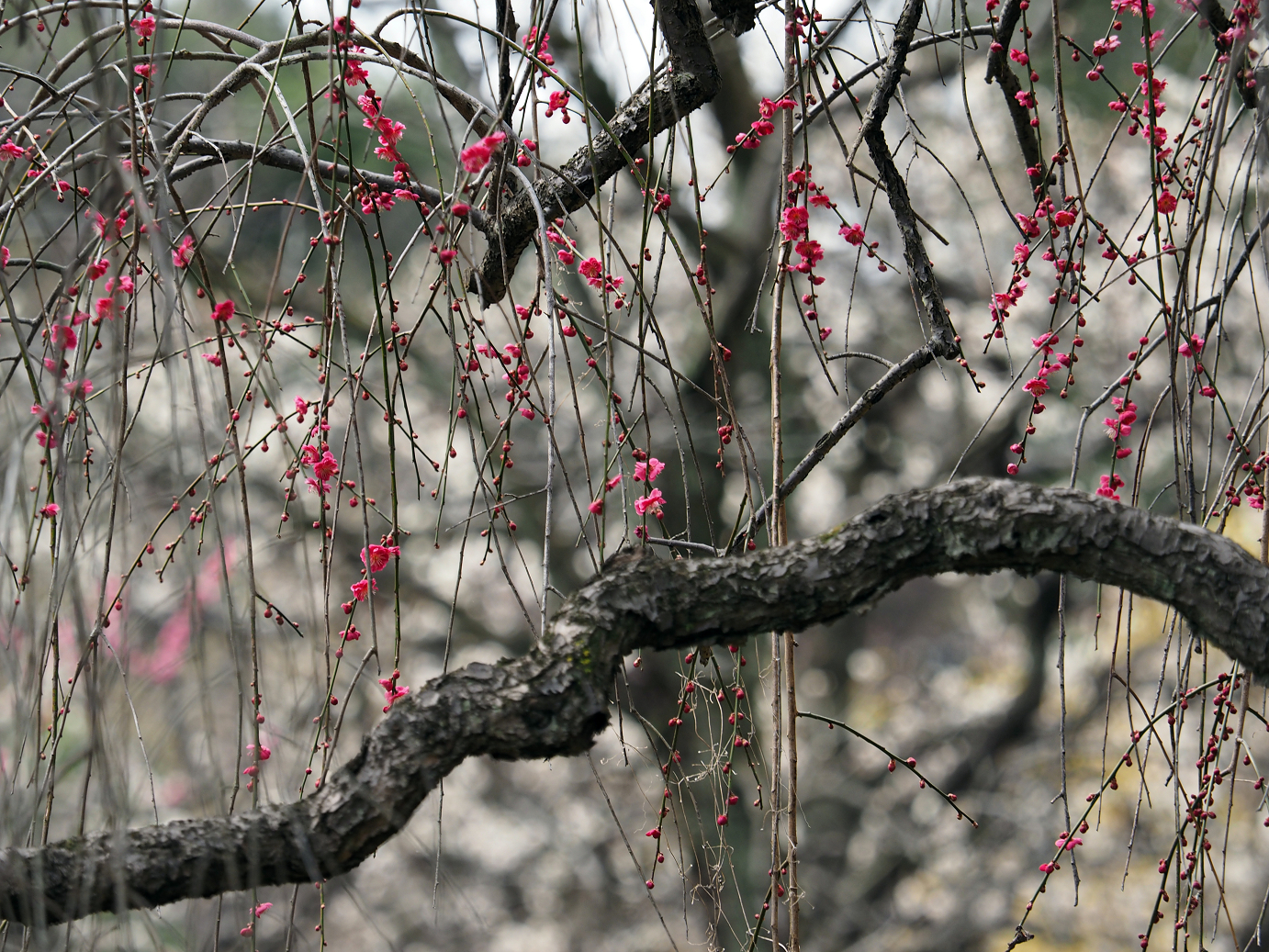 P3144856.jpg