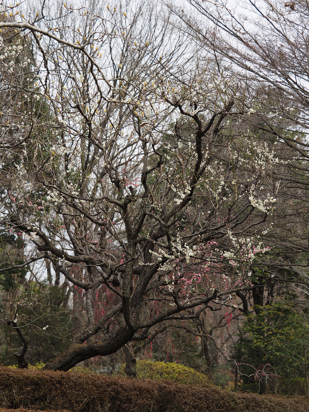 P3144862.jpg