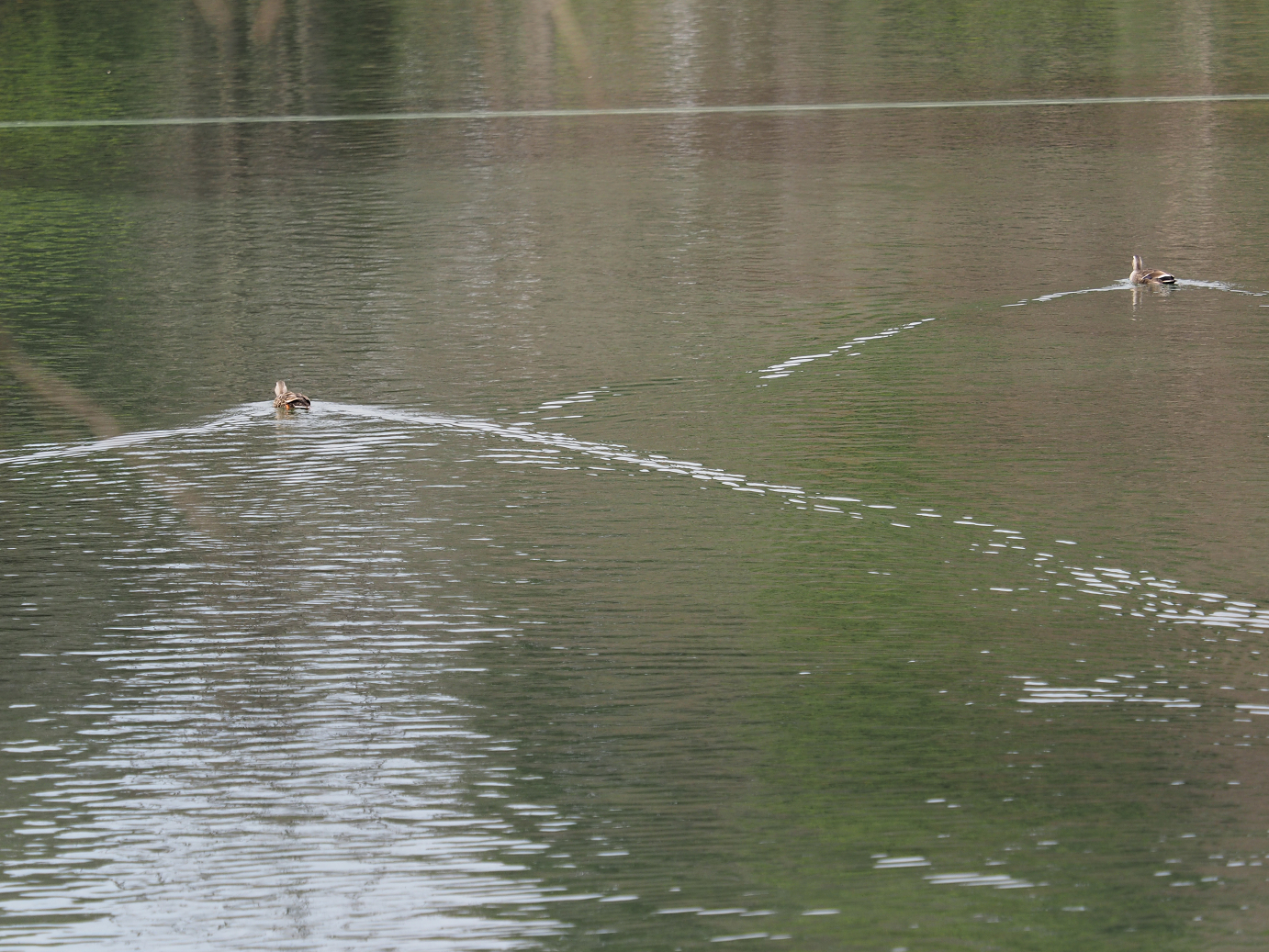 P3144912.jpg