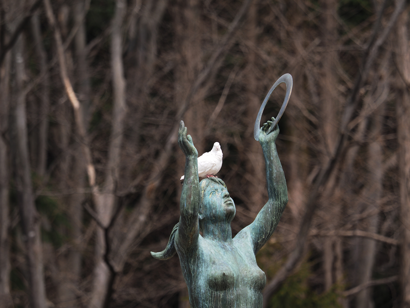 P3144942.jpg