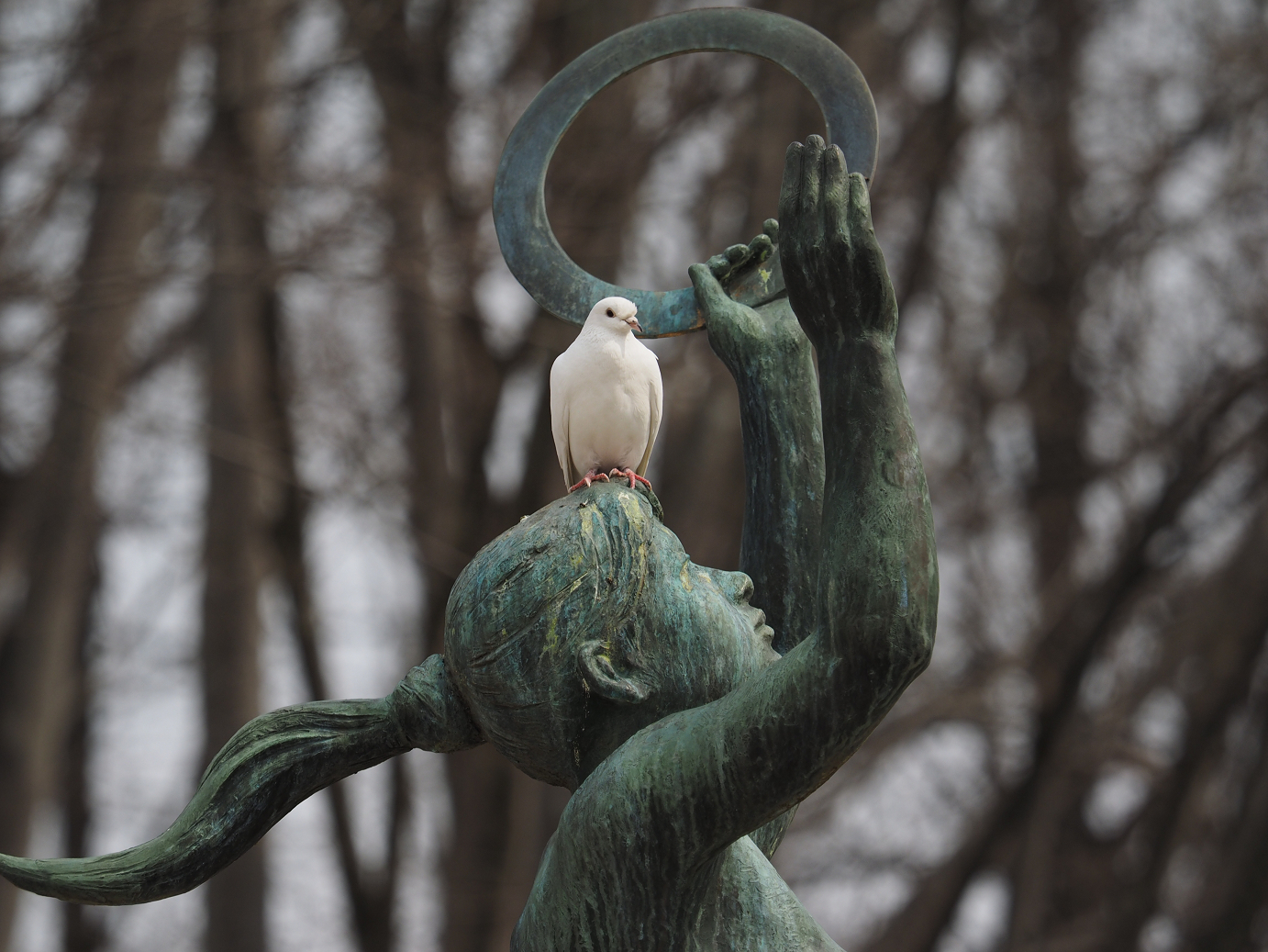 P3144987.jpg