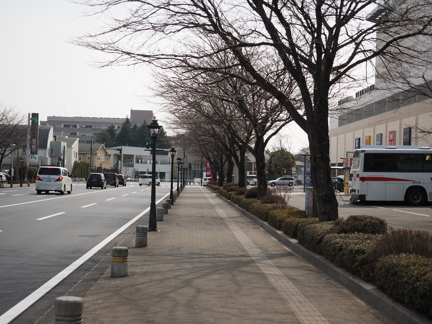 P3145071.jpg
