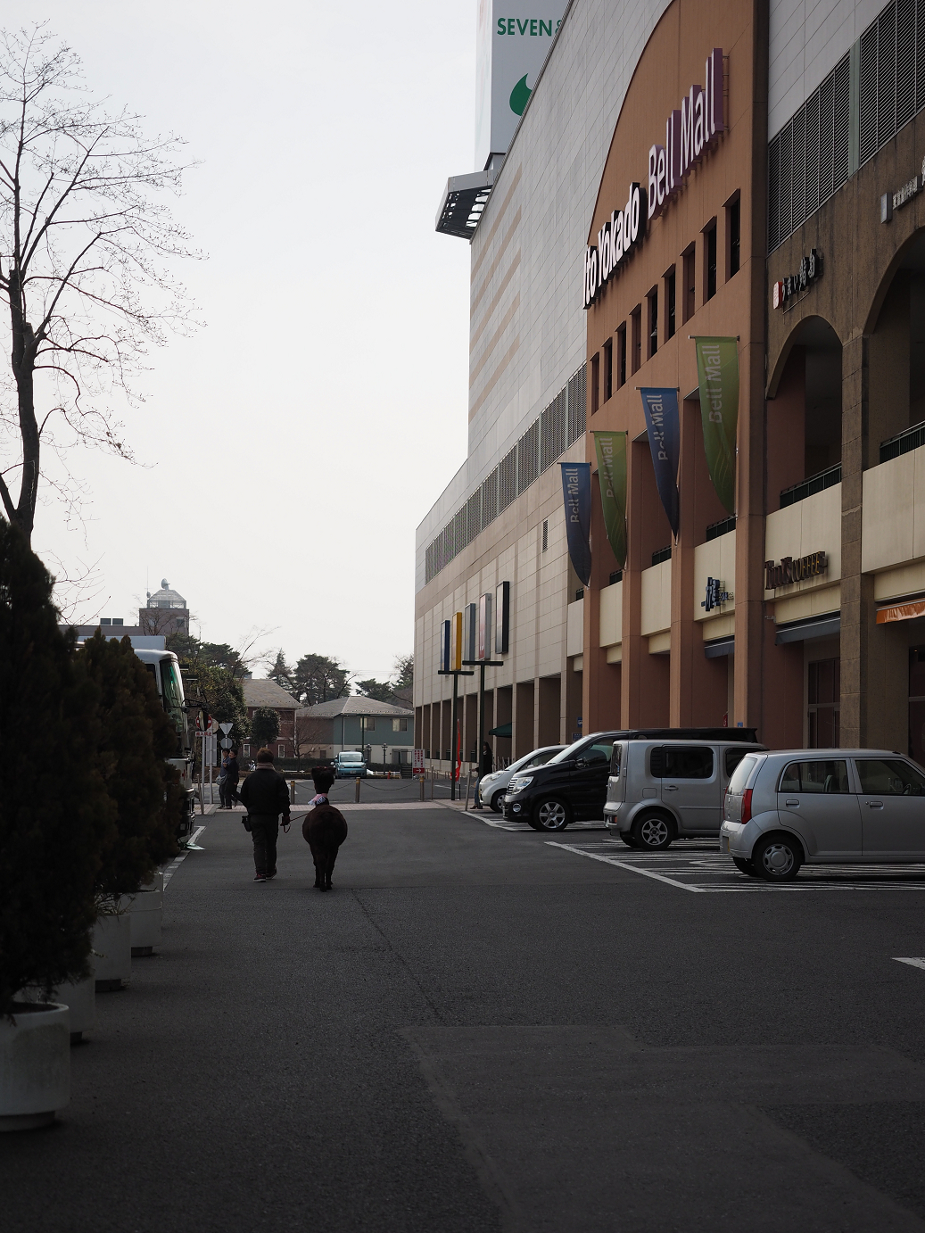 P3145076.jpg