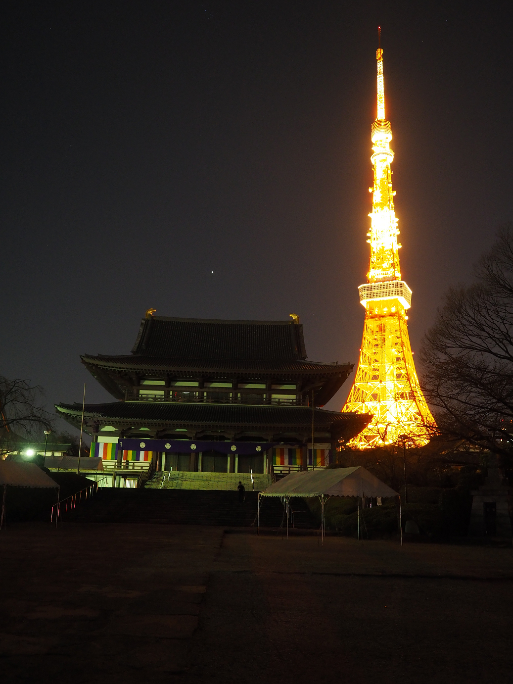 P3255225.jpg