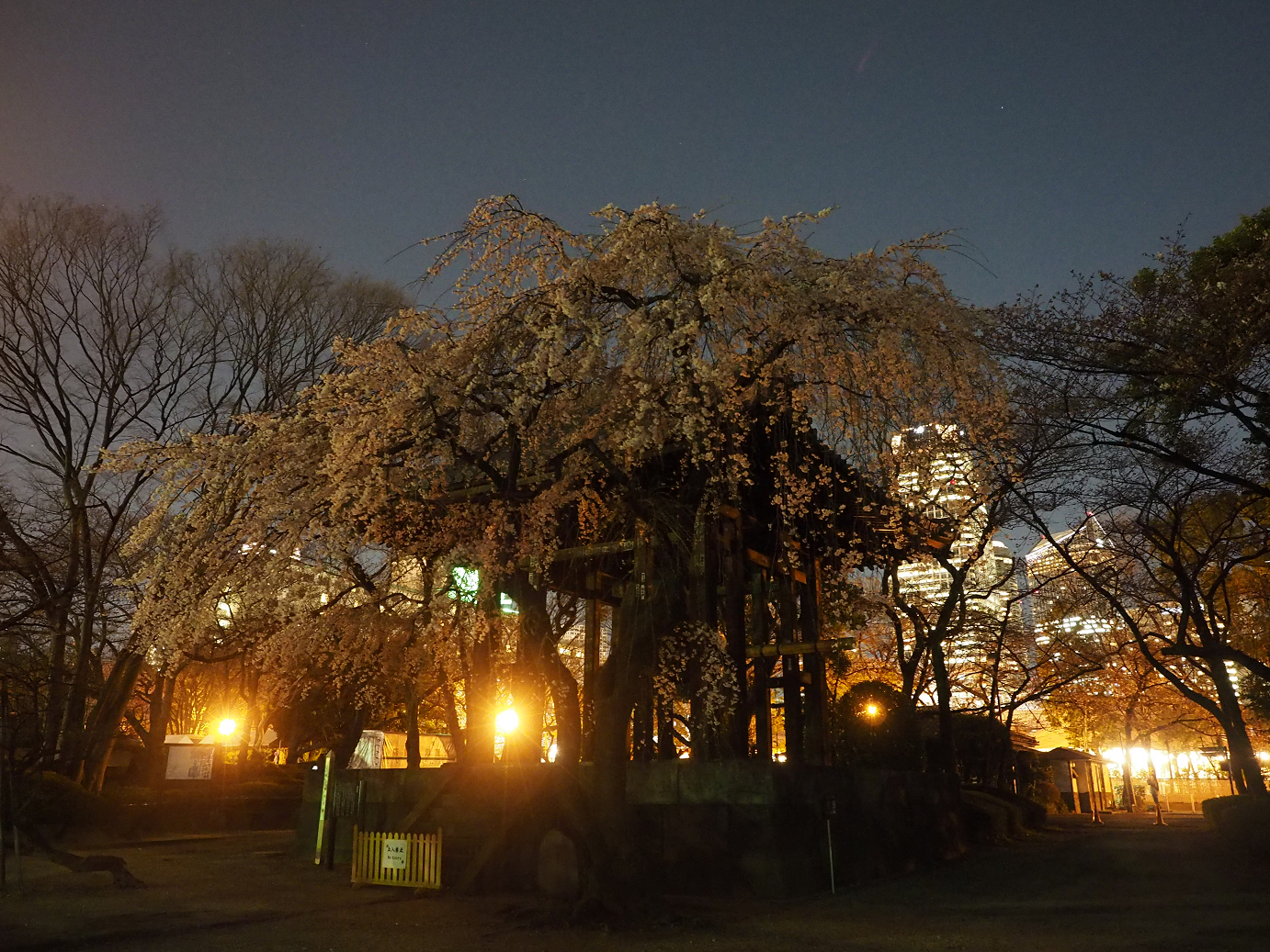 P3255227.jpg
