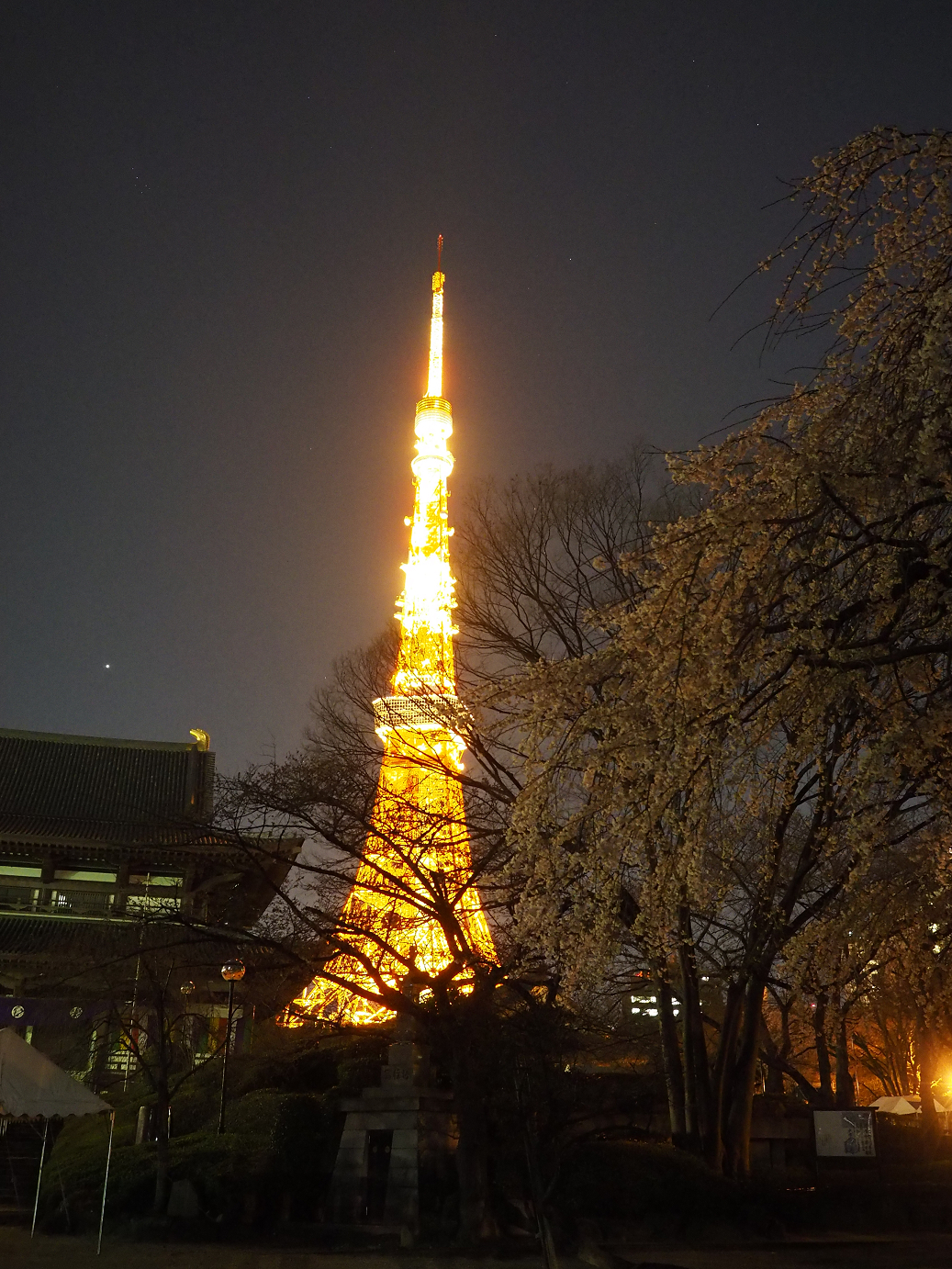 P3255231.jpg