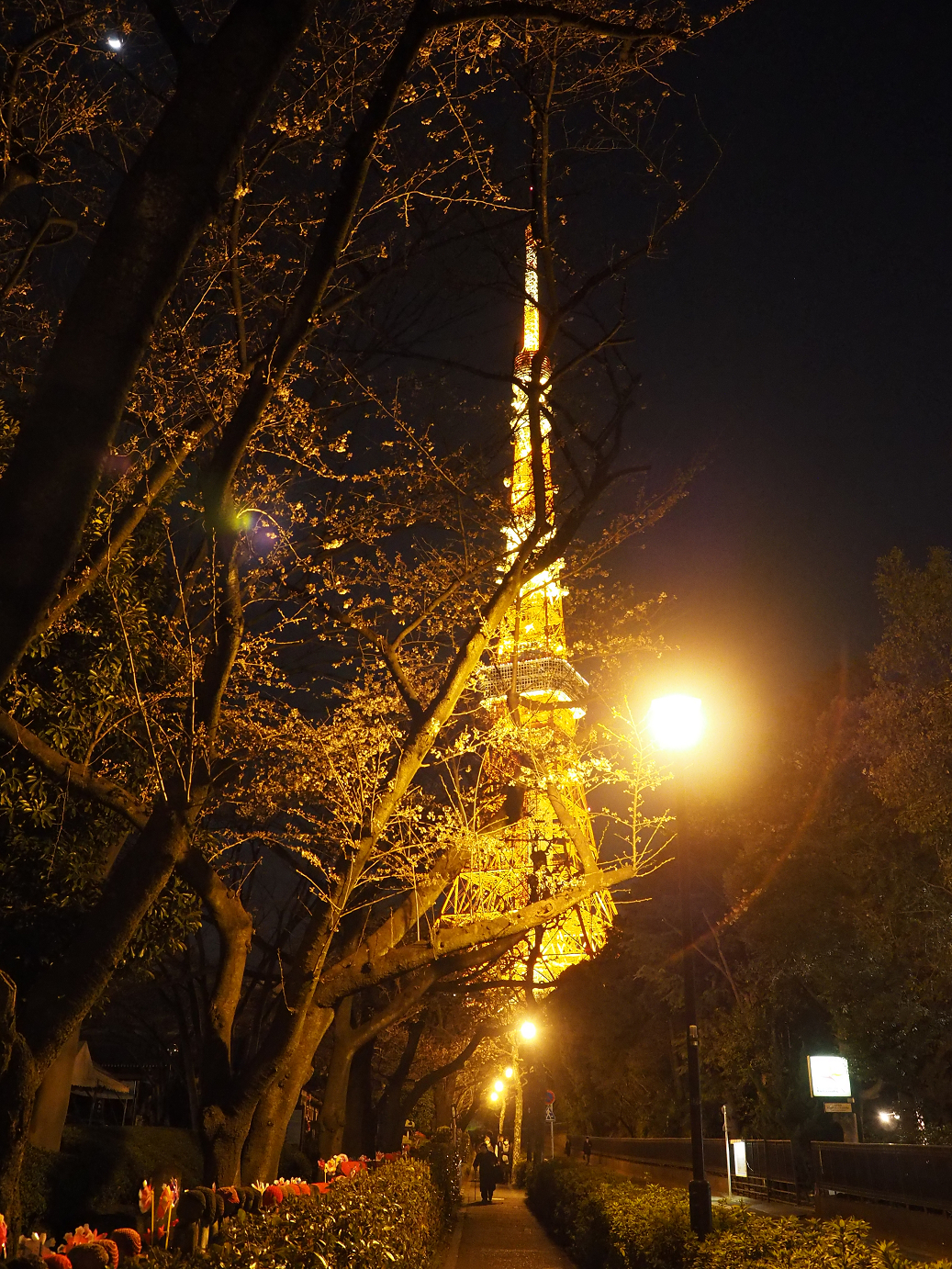P3255240.jpg